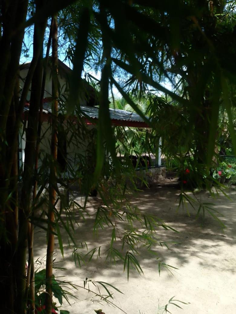 Soma Cabana, Homestay & Restaurant Tangalle Exterior foto